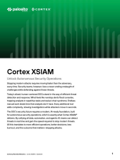 asset pdf thumbnail