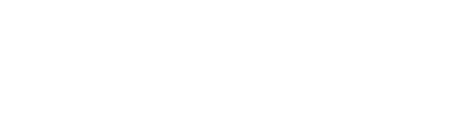Western Bay logo